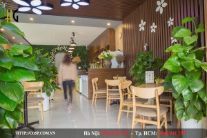 Ý tưởng thiết kế spa làm hài lòng mọi khách hàng